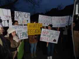 Demo Northeim 20150119 Demo