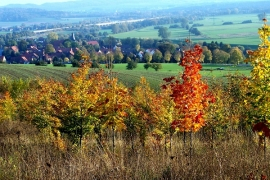 Herbst im Wahlkreis Herbst klein