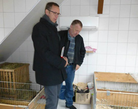 Villa Wuff in Einbeck villa wuff